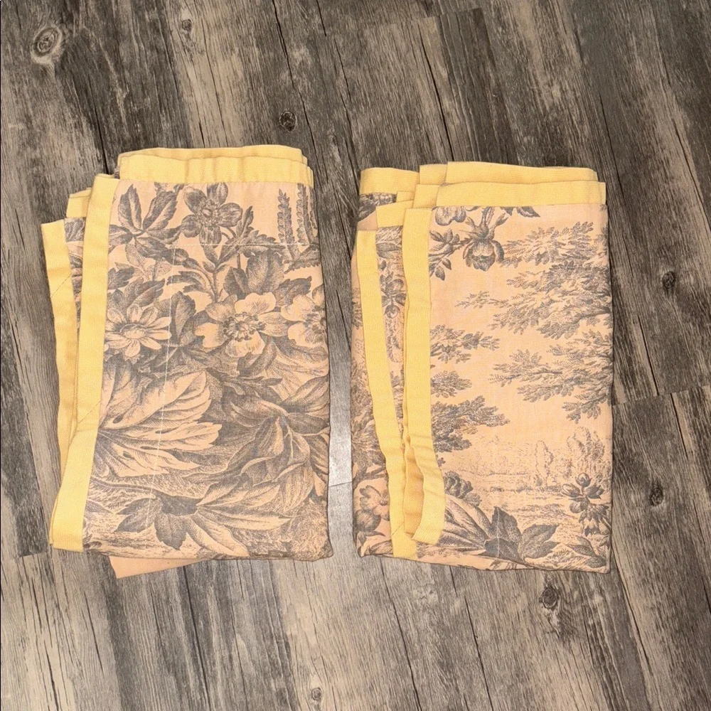 Pottery Barn Floral set of Two Euro Shams - Matine Toile pattern- discontinued